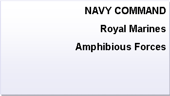 Text Box: NAVY COMMANDRoyal MarinesAmphibious Forces