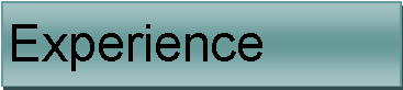Text Box: Experience
